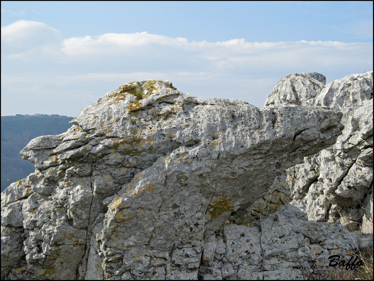 Rocce del Carso triestino